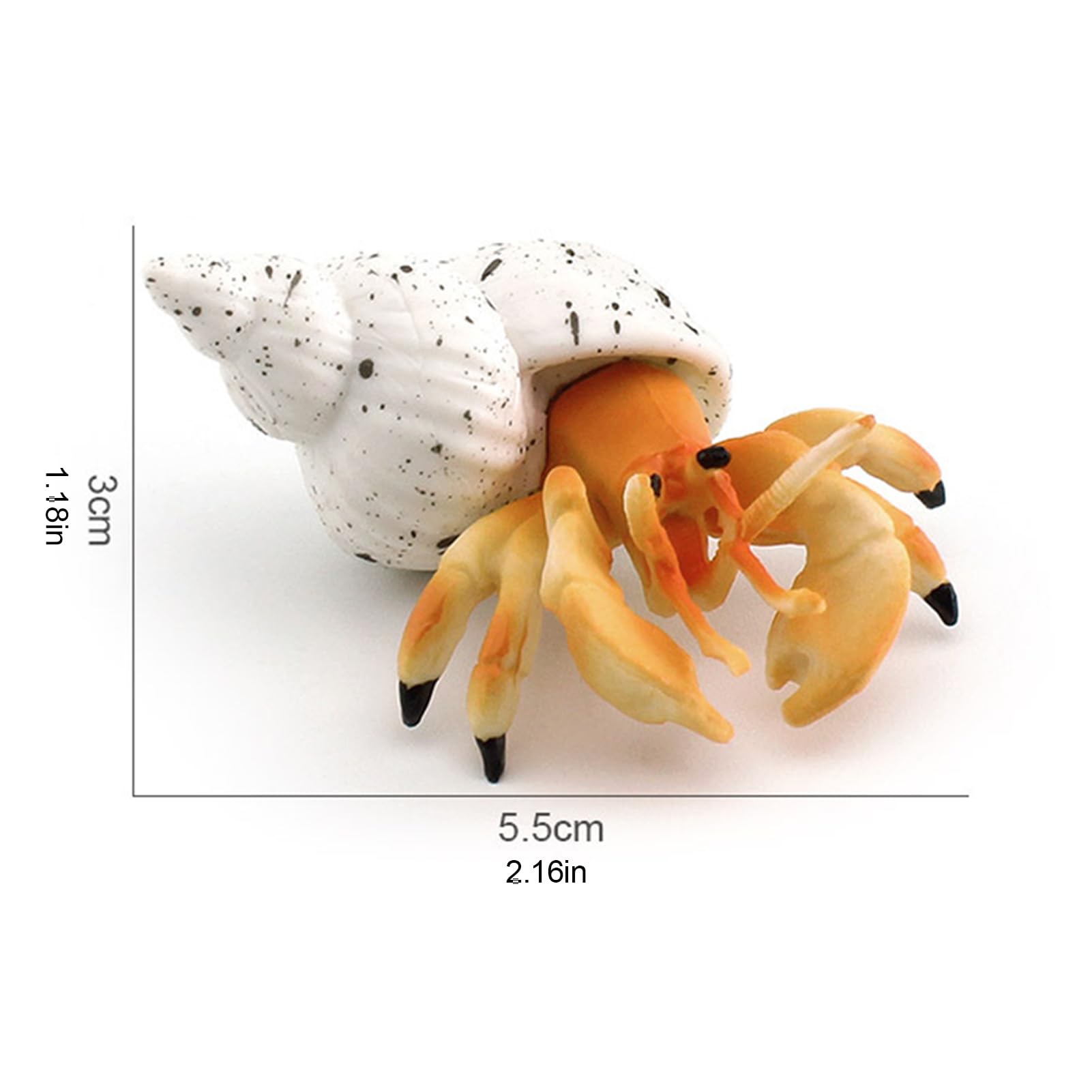 Amazon.co.jp: ヤドカリのおもちゃ | 模造ヤドカリの置物 ホーム